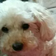☆☆COCO☆☆