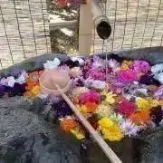rkk99の画像
