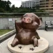yujimoの画像