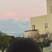 にしの画像