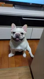 那瑠