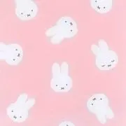 miffy.の画像