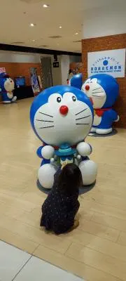 らん✭の画像