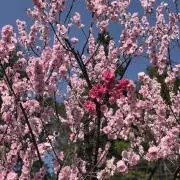 ひかり✨の画像