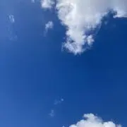 いちごクリームちゃんの画像
