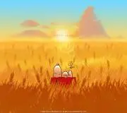 やまさんの画像