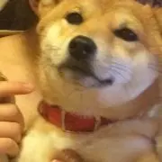 たーぼー