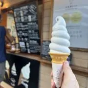 にゃんちの画像