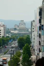 白鷺