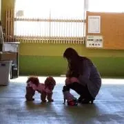 プロフィール必読‼️ひめりな