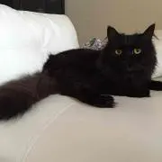 まる