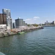 ようの画像