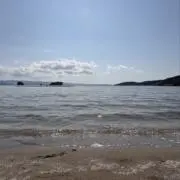 たろーの画像