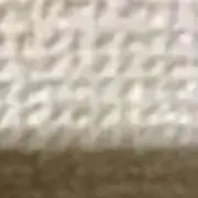 にゃ吉の画像