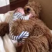 ムックの画像