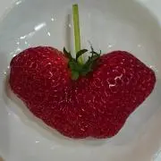 itの画像