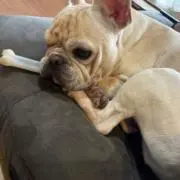 デコの画像