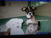 めいみる