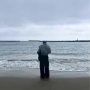 vumuの画像