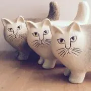 ぴかさくの画像
