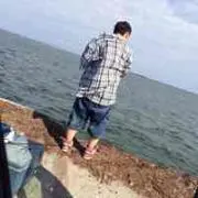 泰司佐藤