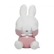 Ayaの画像