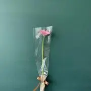 はなの画像