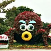 花タコ先輩
