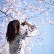 harukazeの画像