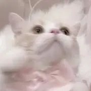 sの画像