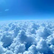 リーリーの画像