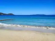 あいすの画像