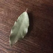 ローリエの画像