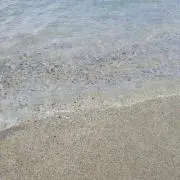 月詠