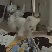 mの画像