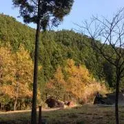 みーの画像