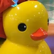 ひなとまの画像