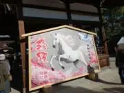 PIKOの画像