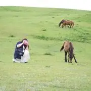みーの画像