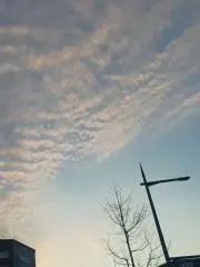 かな✤プロフ必読✤の画像