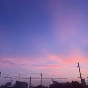 シェリーの画像