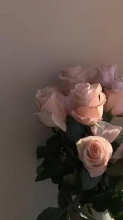 Yuの画像