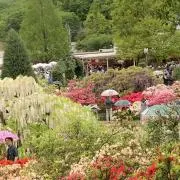 橋本環状七号線の画像