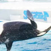 まちこの画像