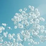 fallの画像