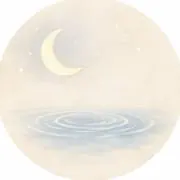 SOLの画像