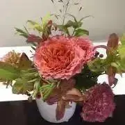 Riの画像