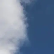 daigooの画像
