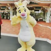 nynの画像