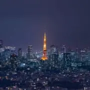 スタムの画像